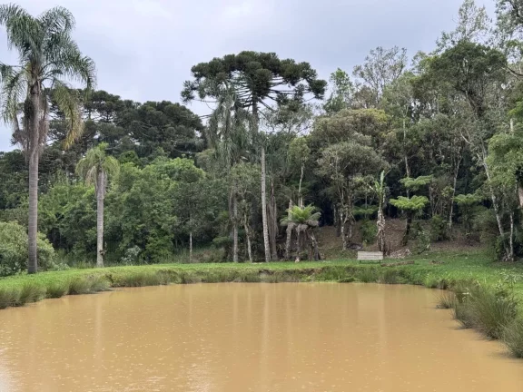 Chácara para Venda em Tijucas do Sul, Campina do Rincão, 4 dormitórios, 1 suíte, 3 banheiros em Estrada Rural