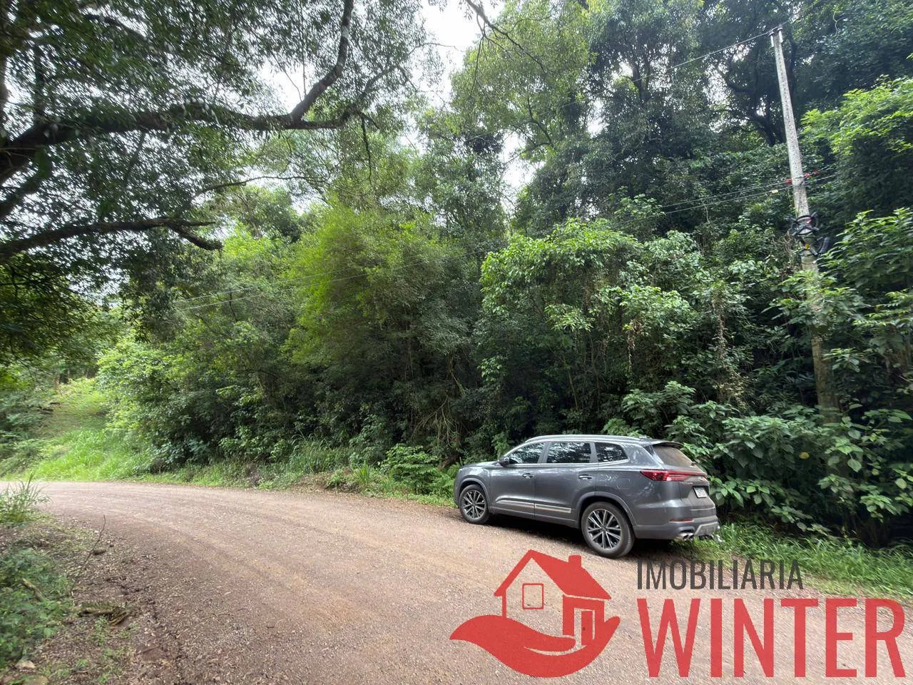 Imagem Area com 10.571 m2 no São Roque, Feliz