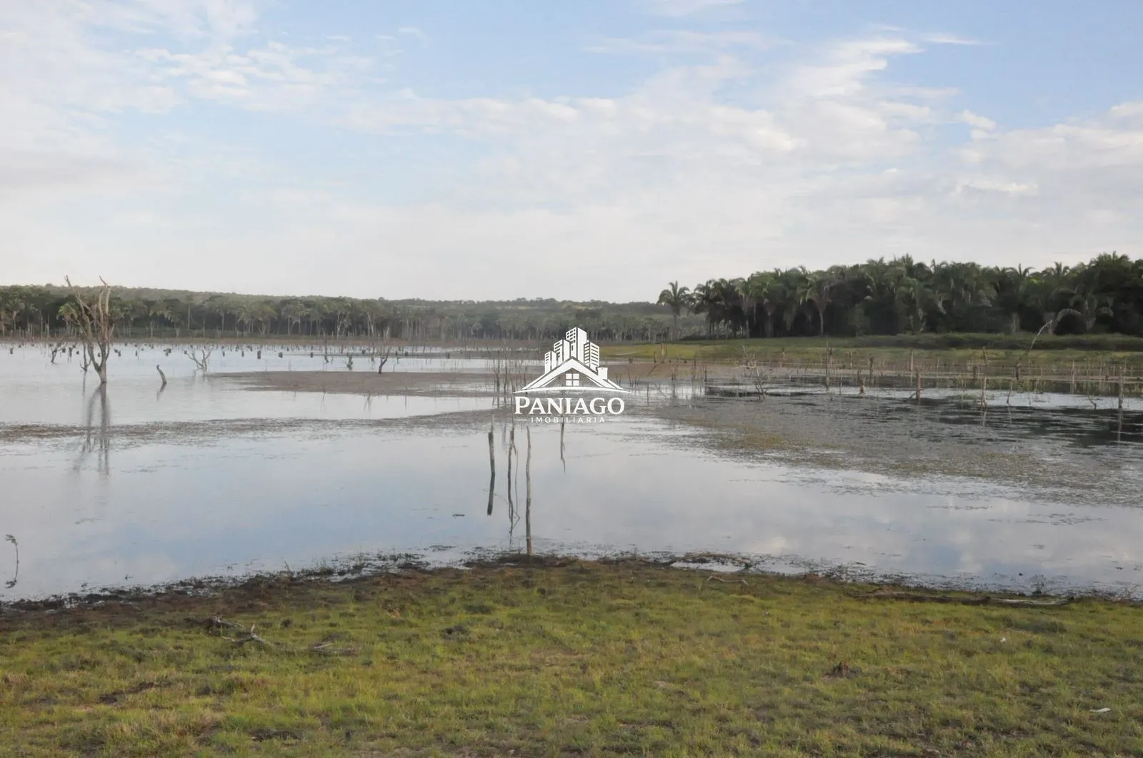 Imagem Chácara de 18 Hectares com Beira de Lago à Venda OPORTUNIDADE