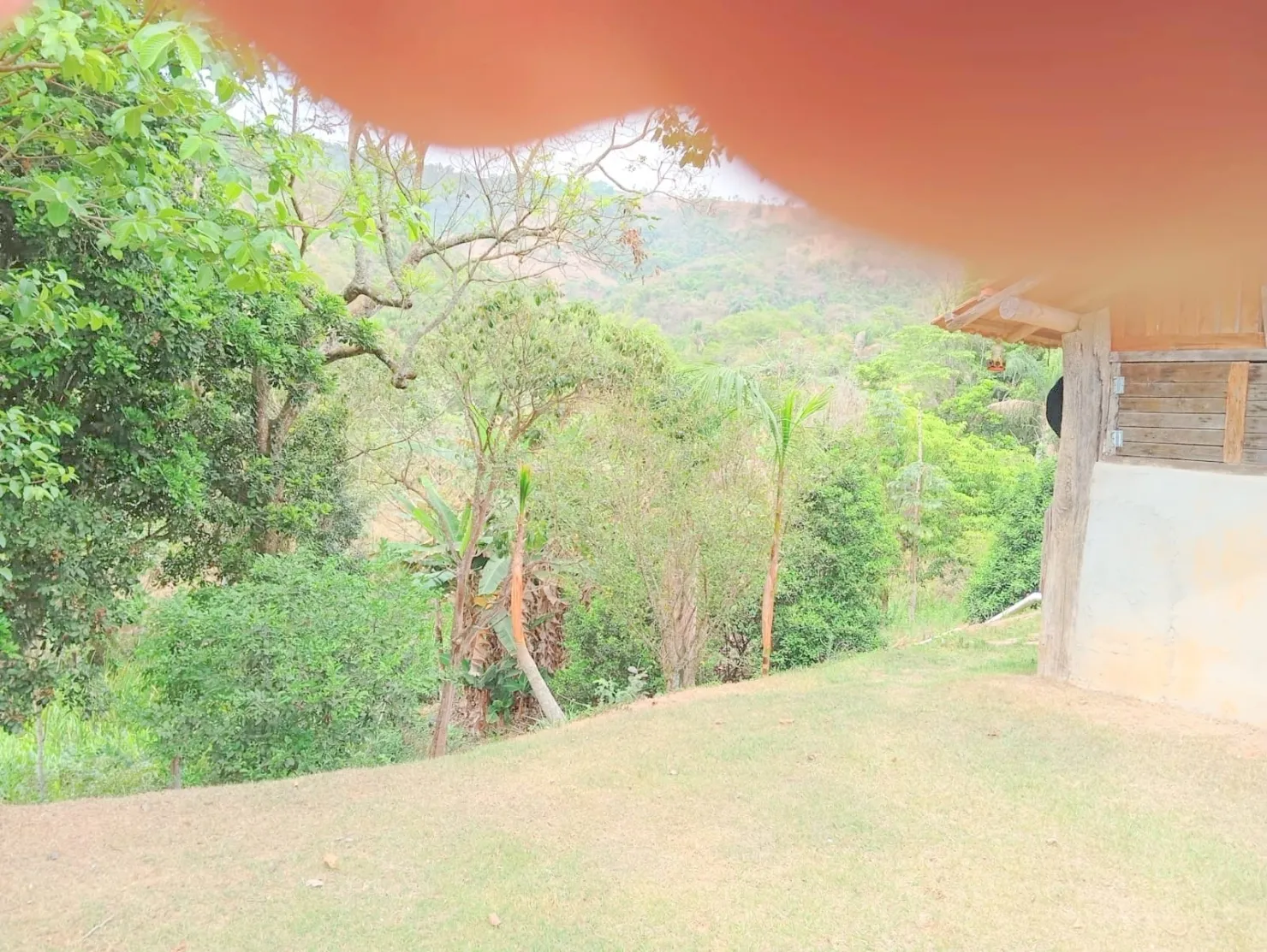 Imagem Fazenda proxima a Dutra paraa venda, , Roseira Velha, SP
