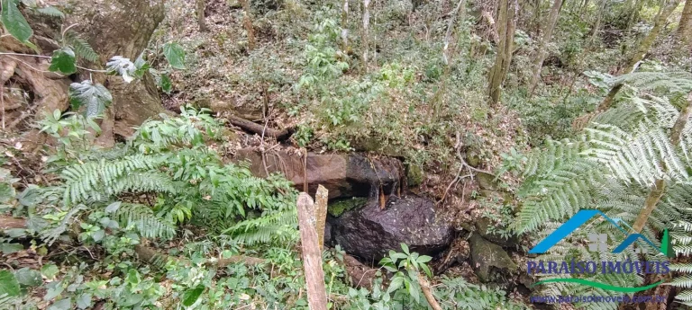 Imagem Oportunidade Única na Serra da Mantiqueira! Pedra do Jair.