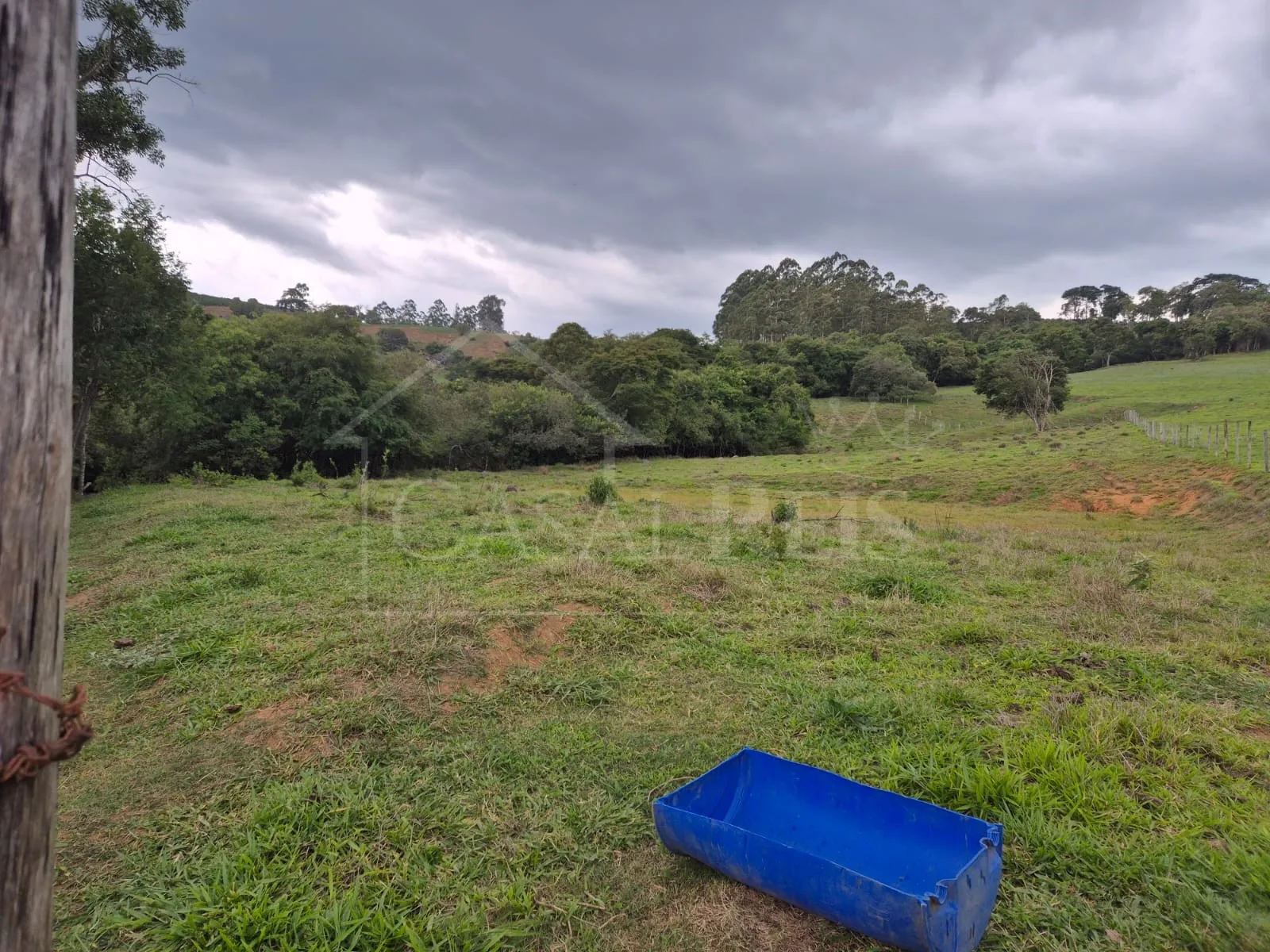 Imagem Chácara 2,4 ha à venda em Área Rural, Bandeira do Sul