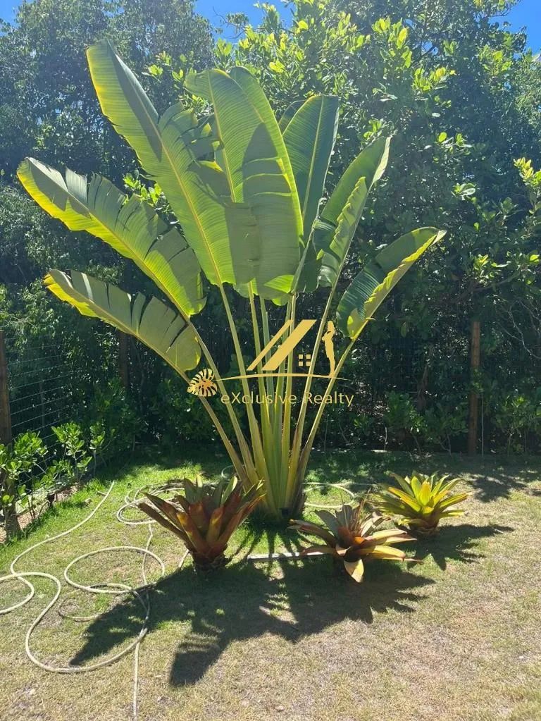 Imagem Casa RESIDENCIAL em Mata de São João - Bahia,