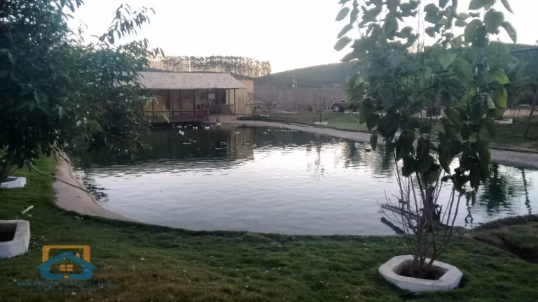 Imagem Chácara de 5.000m² em Bom Jesus do Galho