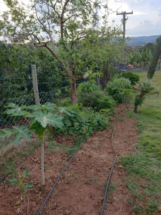Imagem Chácara Completa à Venda – Oportunidade Imperdível!