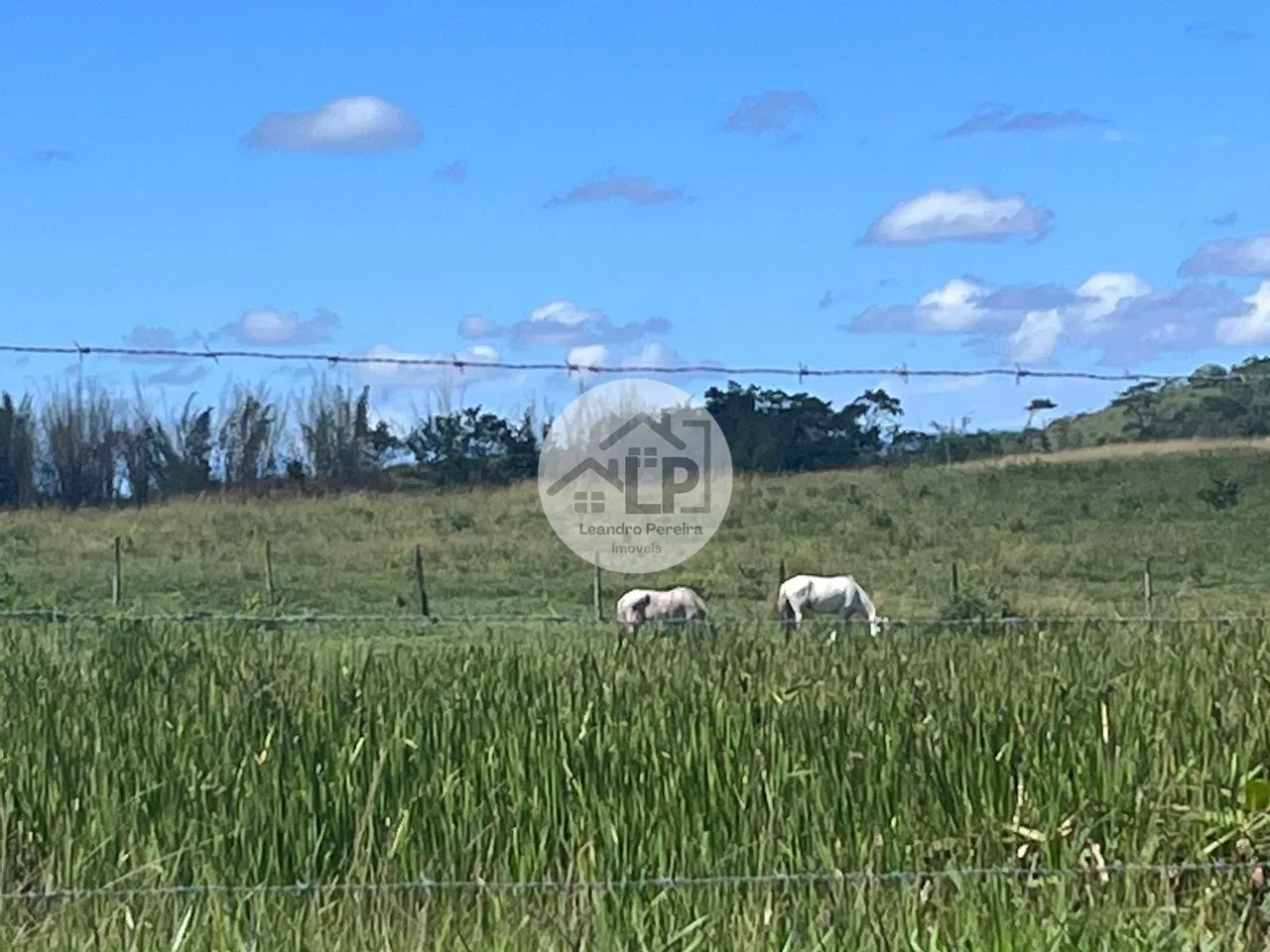 Imagem Fazenda/Sítios/Chácaras de 2300000m² no bairro Banqueiros, em Araruama