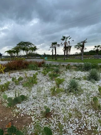 Imagem Terreno a Venda no bairro Senador Carlos Jereissati - Pacatuba, CE