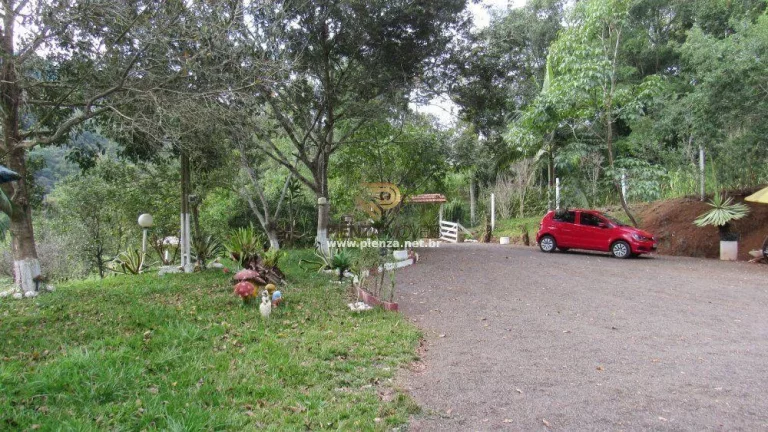 Imagem Sítio / Chácara para Venda em Alto Bela Vista, Rural