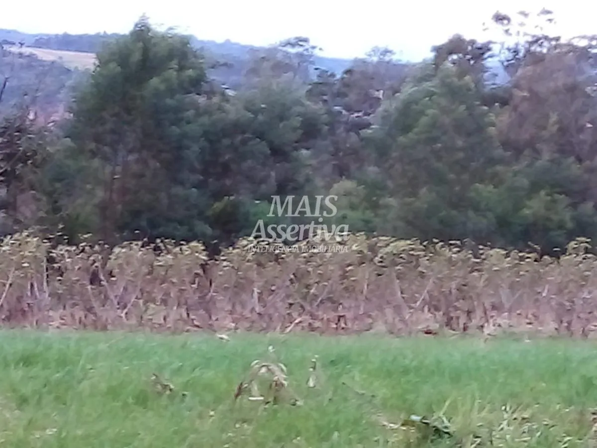Imagem Chácara para Venda em Novo Hamburgo / RS no bairro Lomba Grande