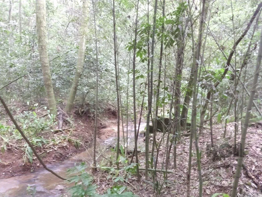 Imagem Área 4,69ha | Bairro Belém Velho