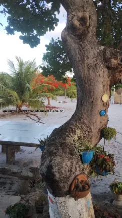 Imagem Granja para Venda em Rio do Fogo, Água Verde