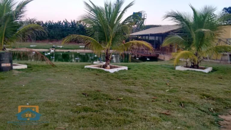 Imagem Chácara de 5.000m² em Bom Jesus do Galho