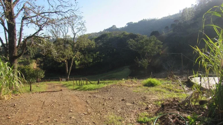 Imagem Área Agrícola para Venda em Lindóia do Sul, Linha Mimosa