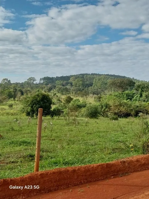 Imagem Vendo excelente fazenda em Lagoa da Prata/MG 376 hectares de terra