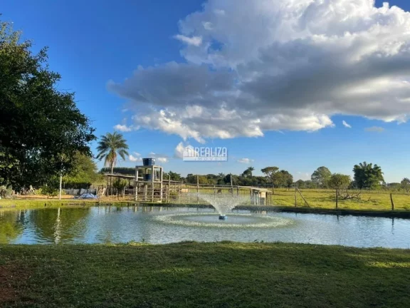 Imagem Chácara à venda na Área Rural de Uberaba - Ótima oportunidade!
