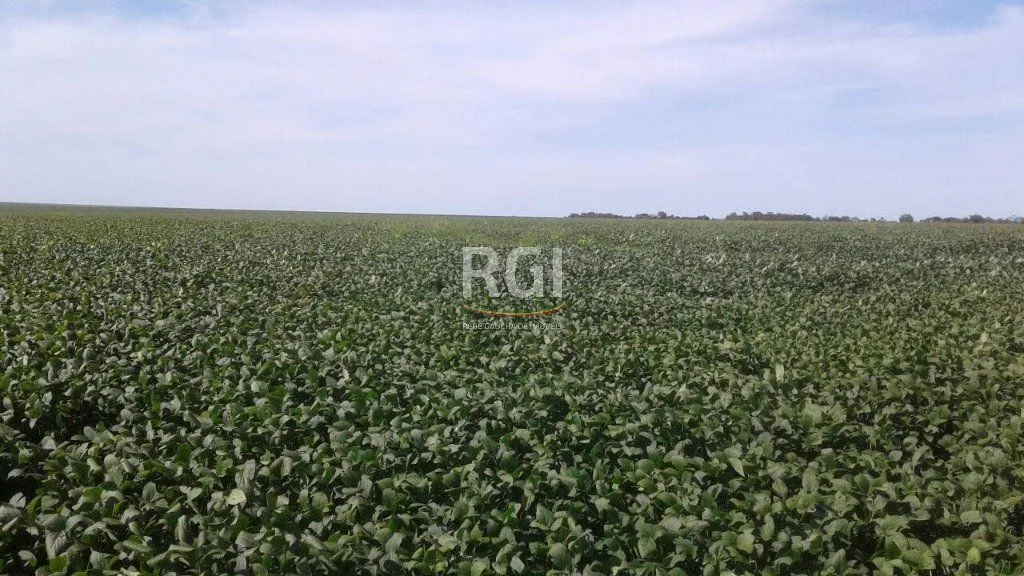 Imagem Terreno para Venda - 0m², 0 dormitórios, Centro