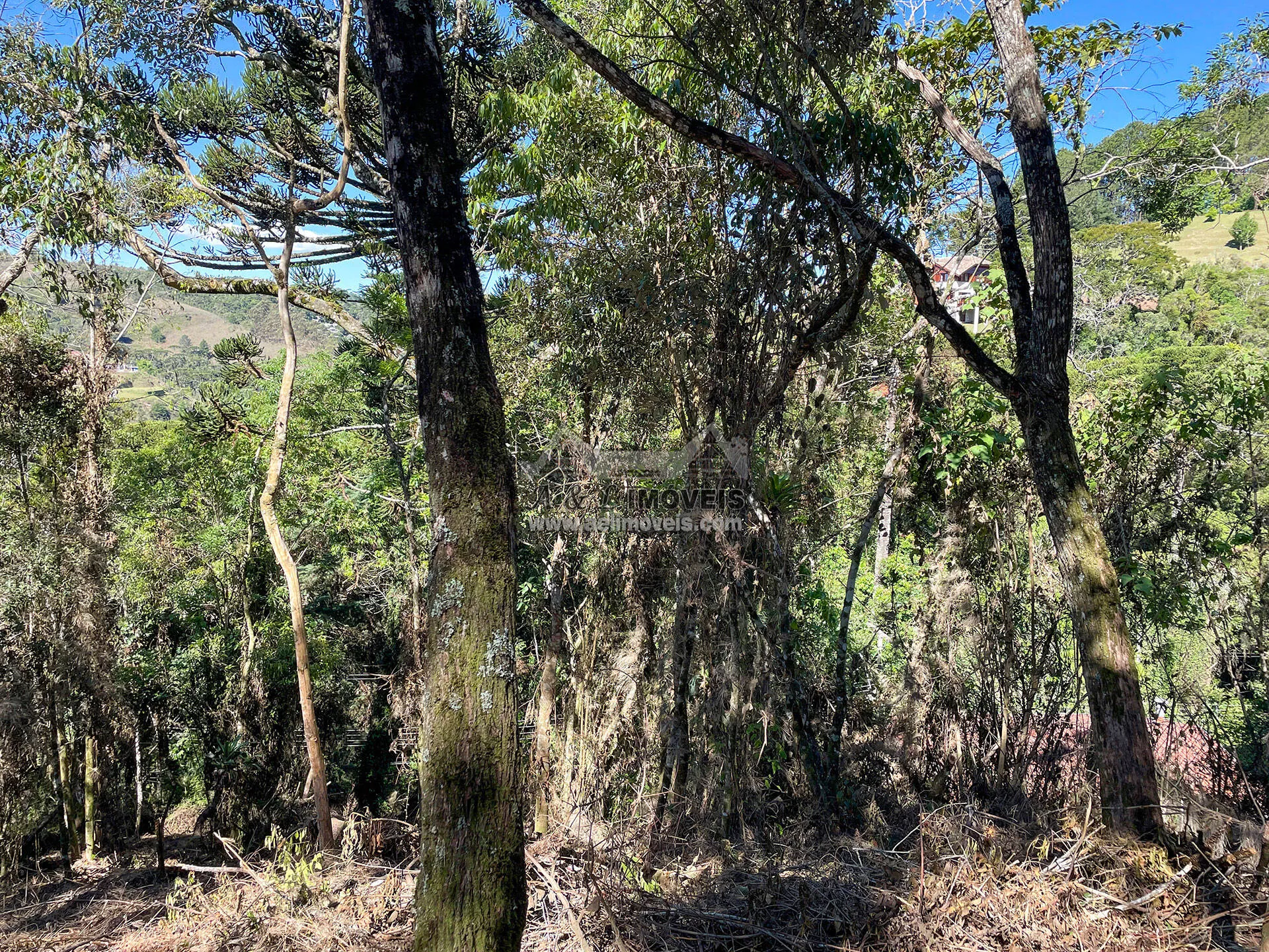 Imagem Terreno à venda em Campos do Jordão - Excelente opção para investimento