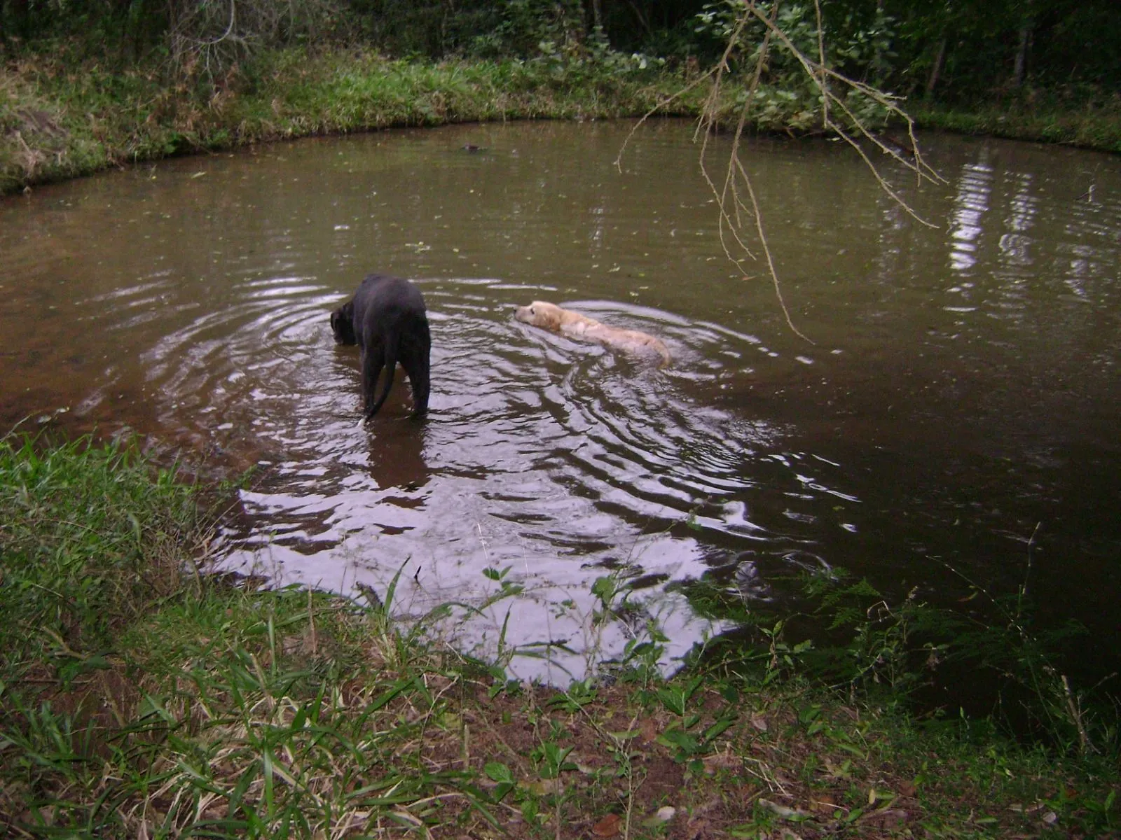 Imagem Sítio em Itapuã