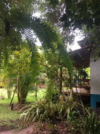 Imagem JACUMÃ