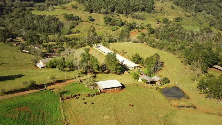 Imagem Área Agrícola para Venda em Concórdia, Rural