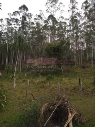 Imagem Sítio a venda em Jacupiranga, estrada do Padre André, interior de São Paulo. O Sítio mede 7, 2 h...