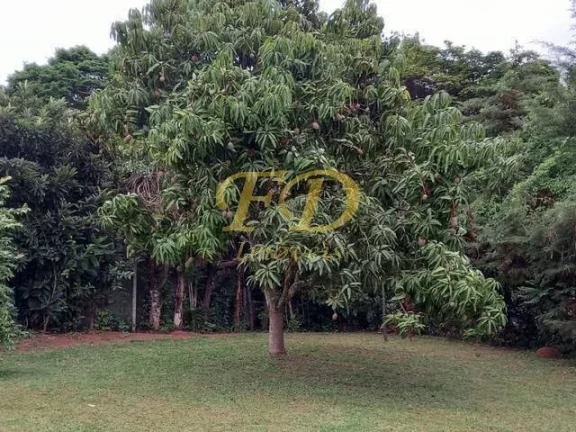 Imagem Chácara em Bragança Paulista