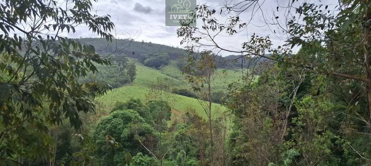 Imagem Ampla Área à Venda no Bairro da Lagoa - Socorro/SP