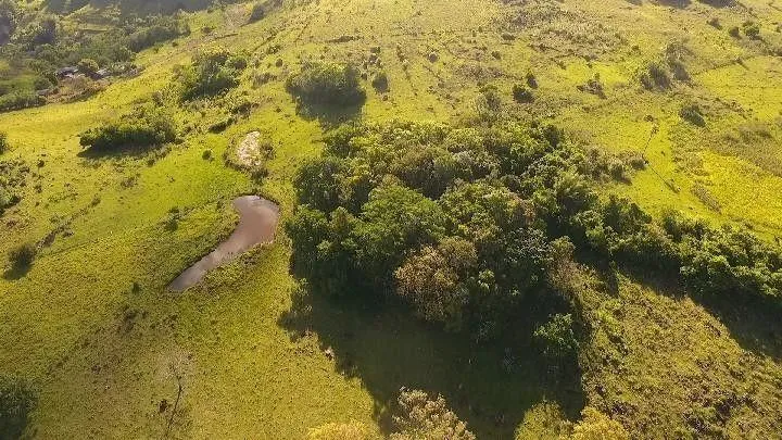 Imagem Chácara para Venda em Santo Antônio da Patrulha / RS no bairro Roça Grande