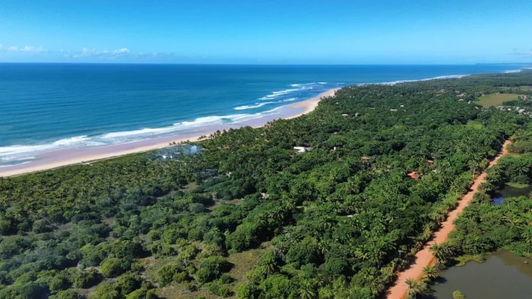 Imagem ÁREA FRENTE MAR (400m) - ALGODÕES