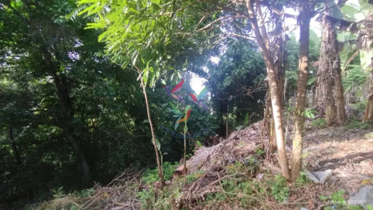 Imagem TERRENO NA CIDADE HISTÓRICA