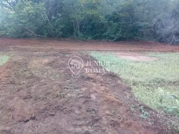 Imagem FAZENDA - 91,5 HECTARES - CRISTOPOLIS/BA