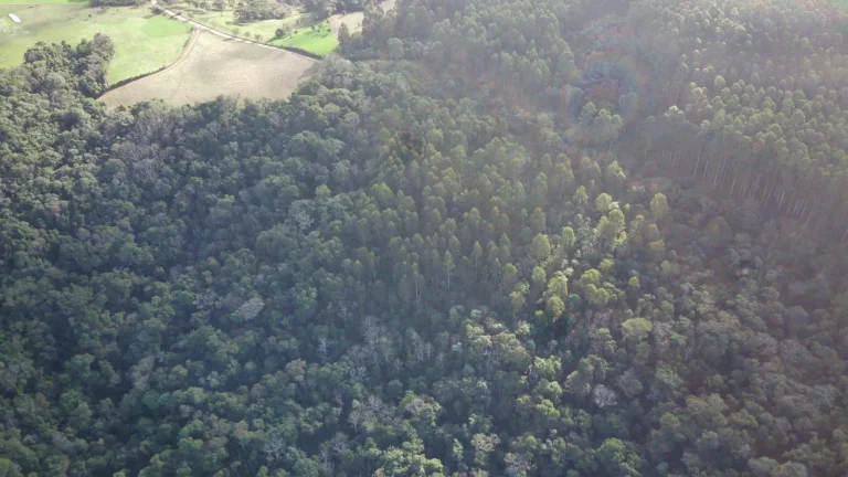 Imagem Terreno para Venda em Concórdia, Interior