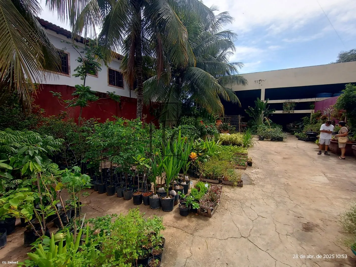 Comercial para Venda em Araruama, Coqueiral