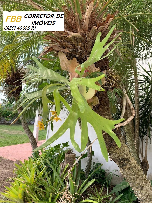 Imagem Casa com 7 Quartos à Venda, 2 metros em Ogiva - Cabo Frio