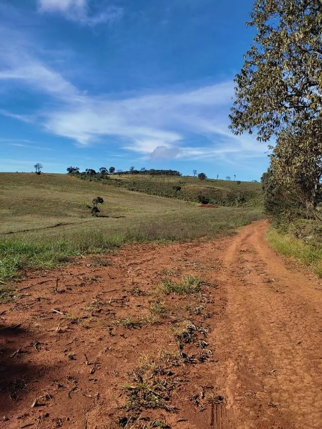 Imagem FAZENDINHA À VENDA - RIO MANSO (MG) 43 hectares de terra