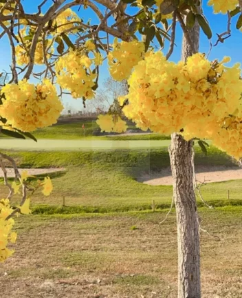 Imagem Terreno em Condomínio à Venda em Cuiabá-MT - Bairro Área Rural - 1.125,00 m² de Área