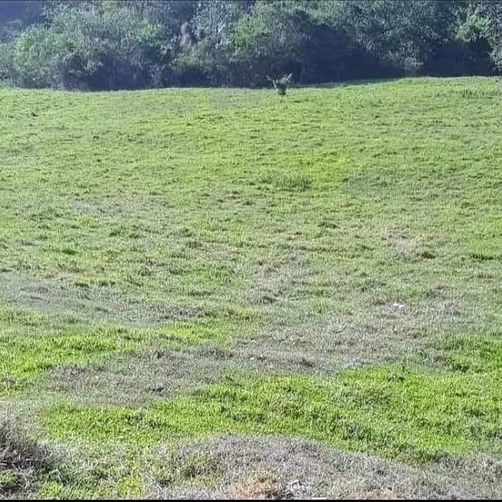 Chácara à venda 25150M², Registro, Taubaté - SP
