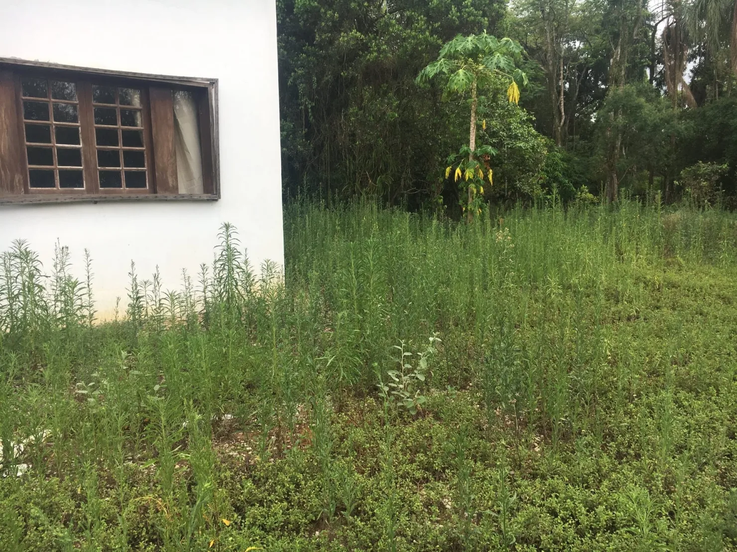 Imagem Terreno à venda 9 Quartos, 29773.51M², Bela Vista, Pindamonhangaba - SP