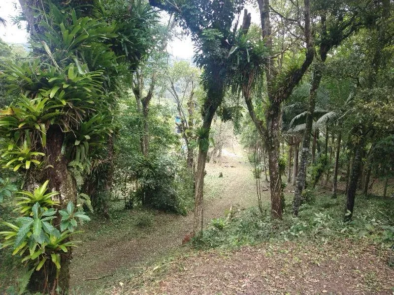 Imagem Chácara com 3 Quartos à Venda, 4000 m² em Rio Grande da Serra - Rio Grande da Serra