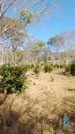 Imagem Fazenda a venda Oportunidade Única em Niquelândia Goiás- GO