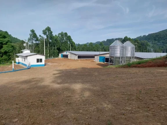 Imagem Granja para Venda em Lindóia do Sul, Interior