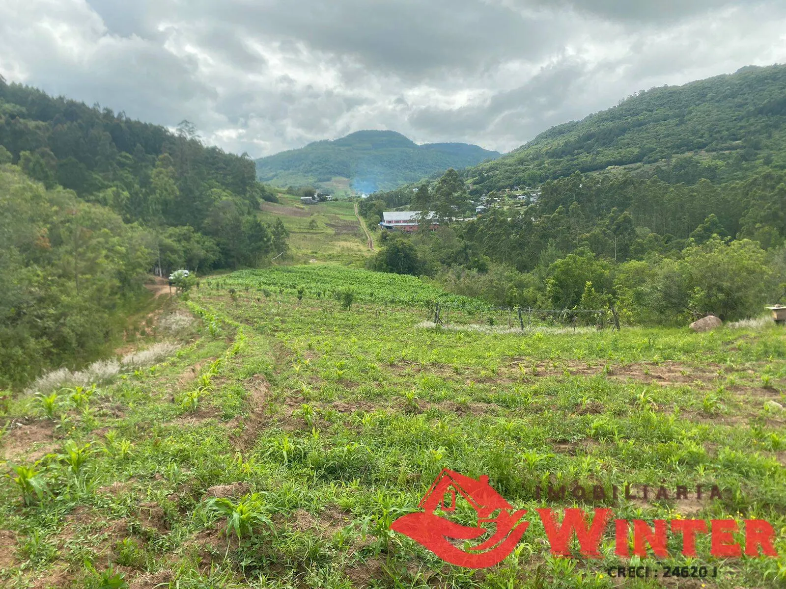 Foto do imóvel Área de terras com 6,3 hectares em São Roque, Feliz.