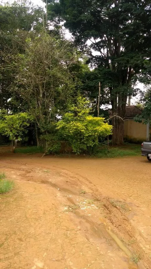 Imagem Sítio para Venda em Suzano, Ipelândia