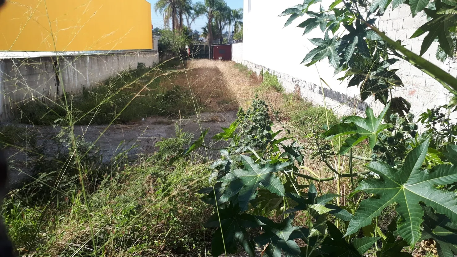 Imagem Terreno à venda 755.7M², Socorro, Pindamonhangaba - SP