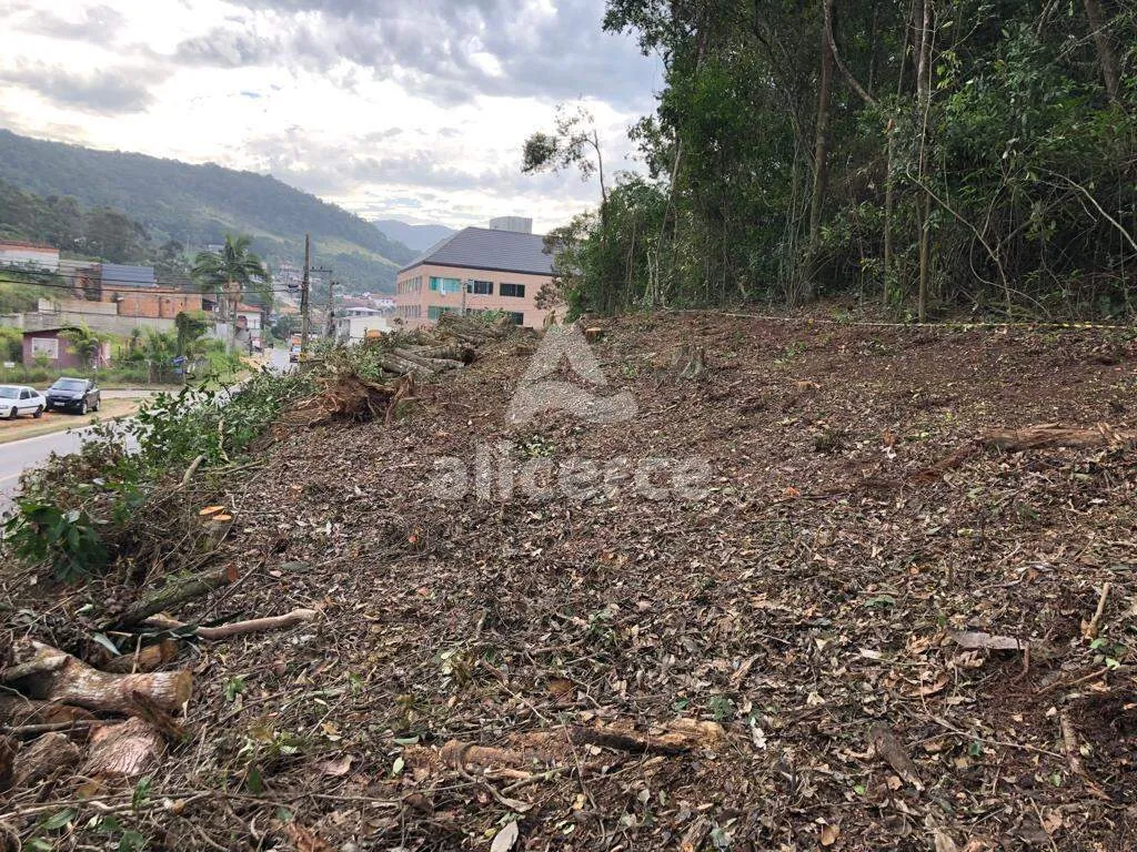 Imagem Terreno com 3.643 m², Viabilidade 70 % para Desmembramento e Construção - Forquilhas, São José/SC