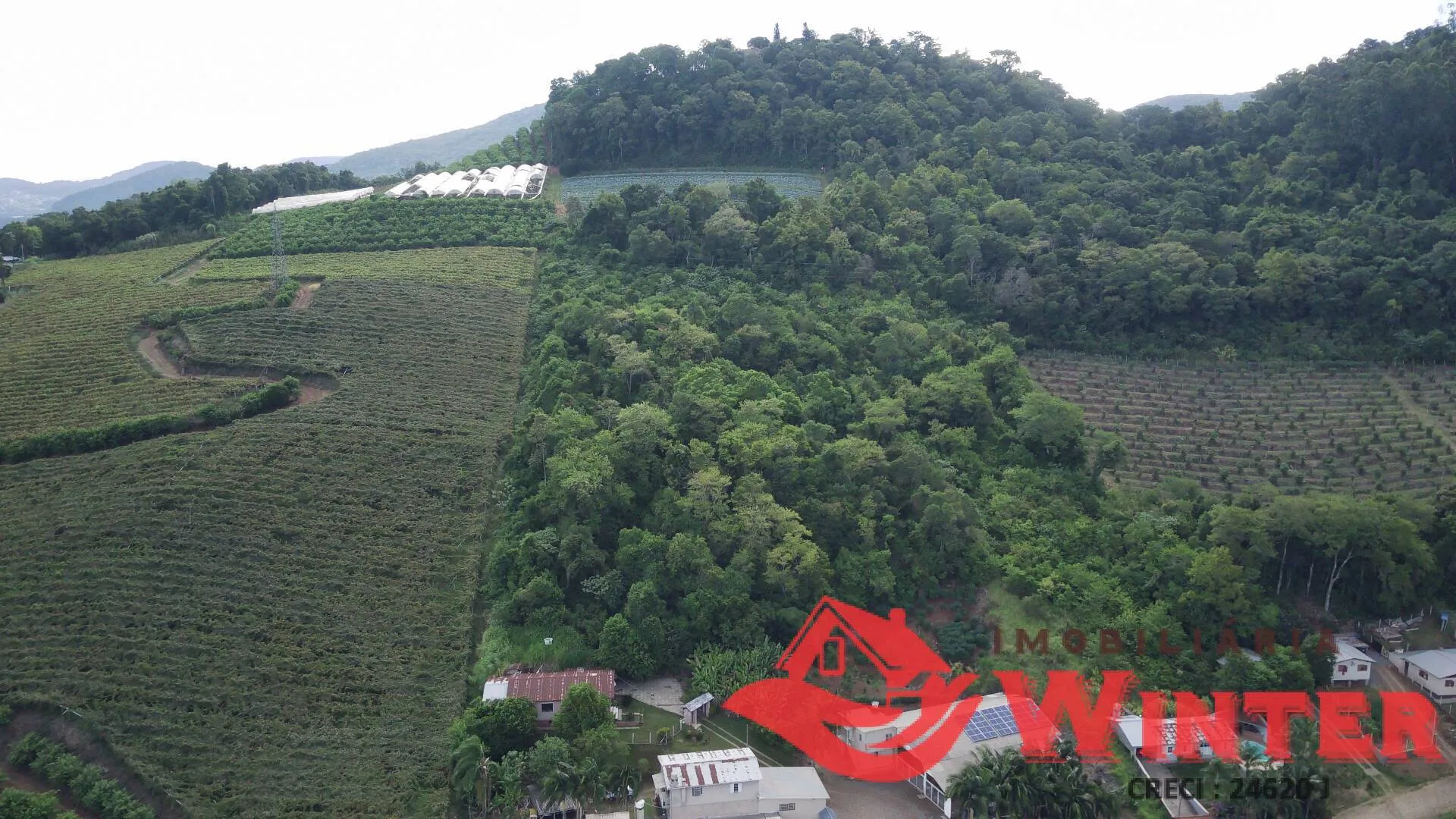 Imagem Área de terras com 16.871m2 no Picão - Feliz