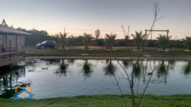 Imagem Chácara de 5.000m² em Bom Jesus do Galho