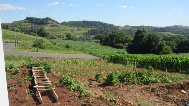 Imagem Terreno para Venda em Concórdia, Interior