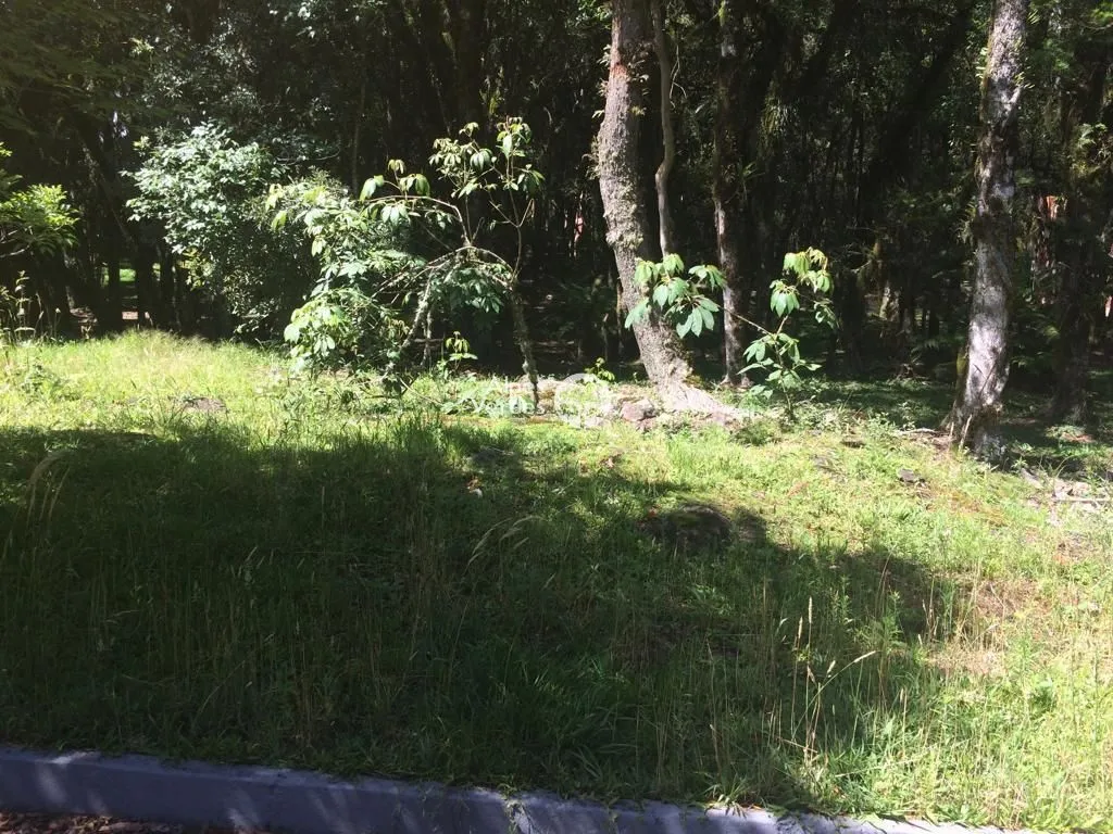 Imagem Terreno à venda, 1242 m2 por R$ 682.900,00 - Lagos Do Bosque - Gramado/RS