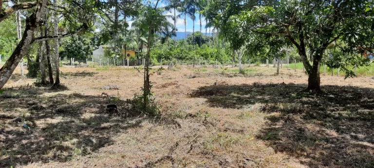 Imagem Chácara para Venda em Itanhaém, Gaivota (Interior), 2 dormitórios, 1 banheiro, 15 vagas